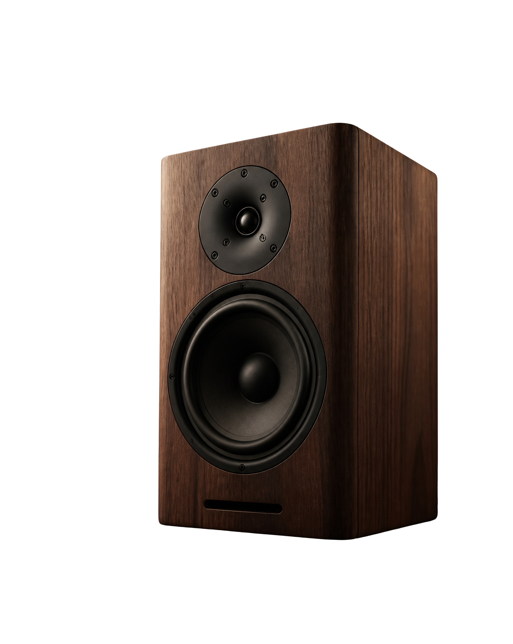Modern Walnut Bookshelf Speaker