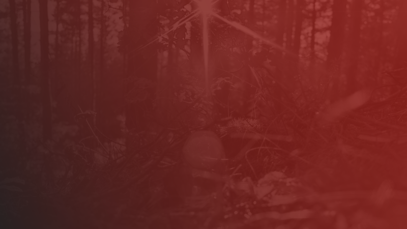 Project management roadmap and workflow documentation