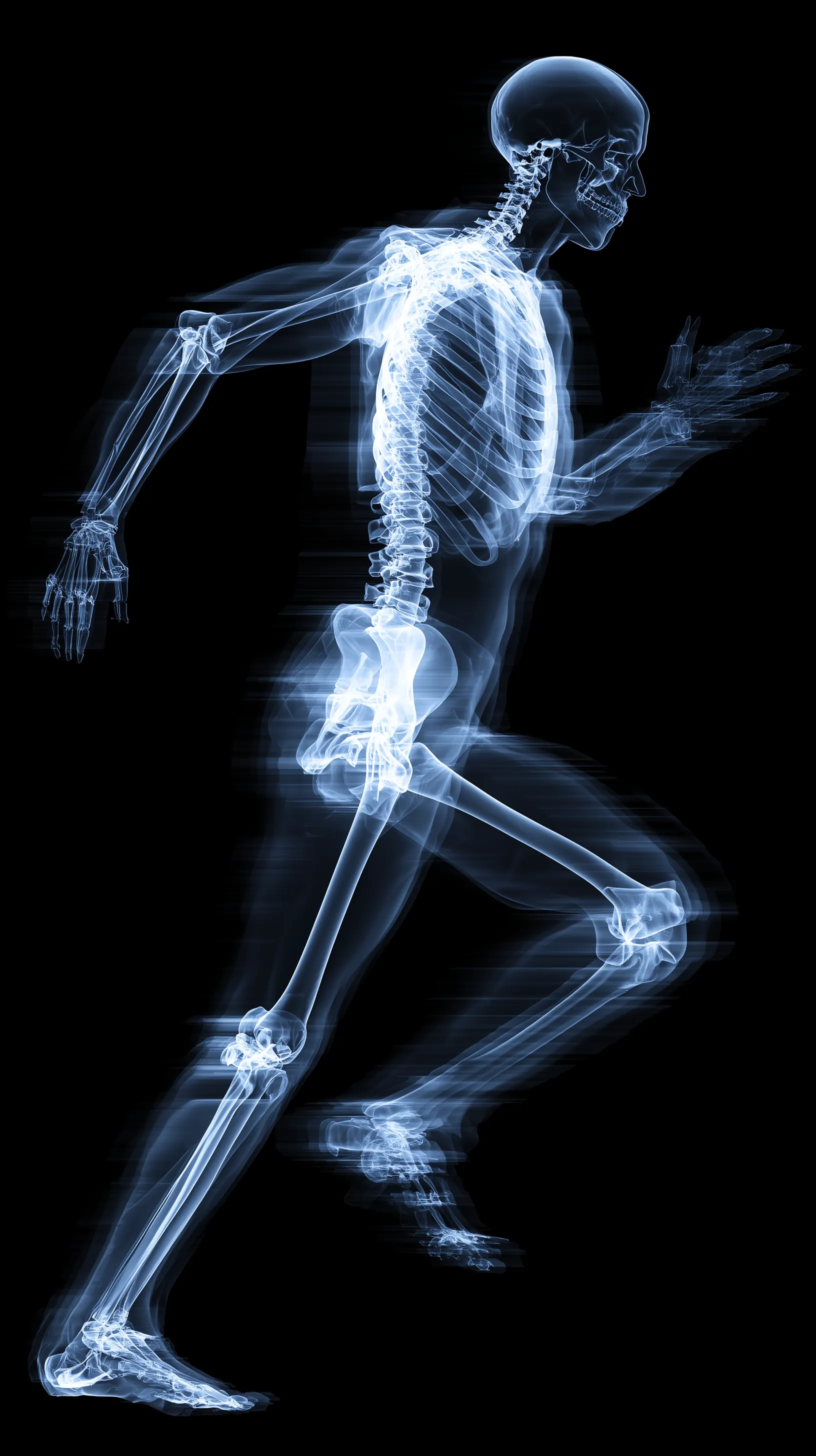 X-ray Style Skeleton Runner Side View