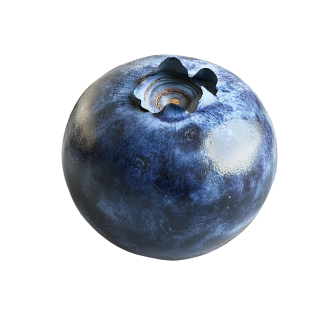 Blueberry