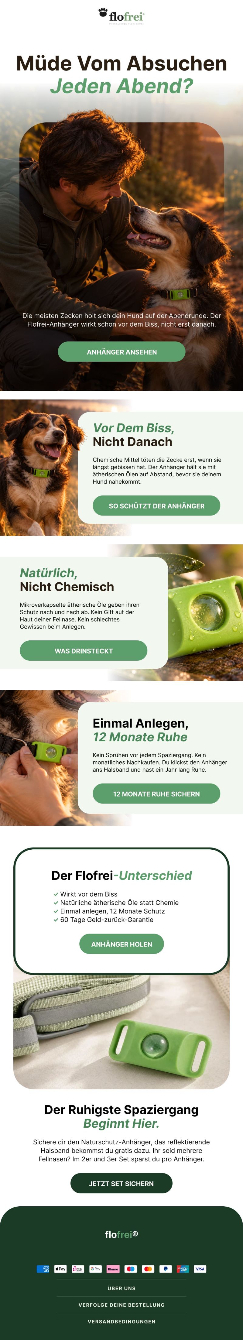 Gestaltete E-Mail
