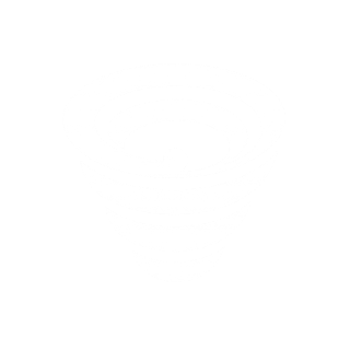 Peak Clarity Point Logo