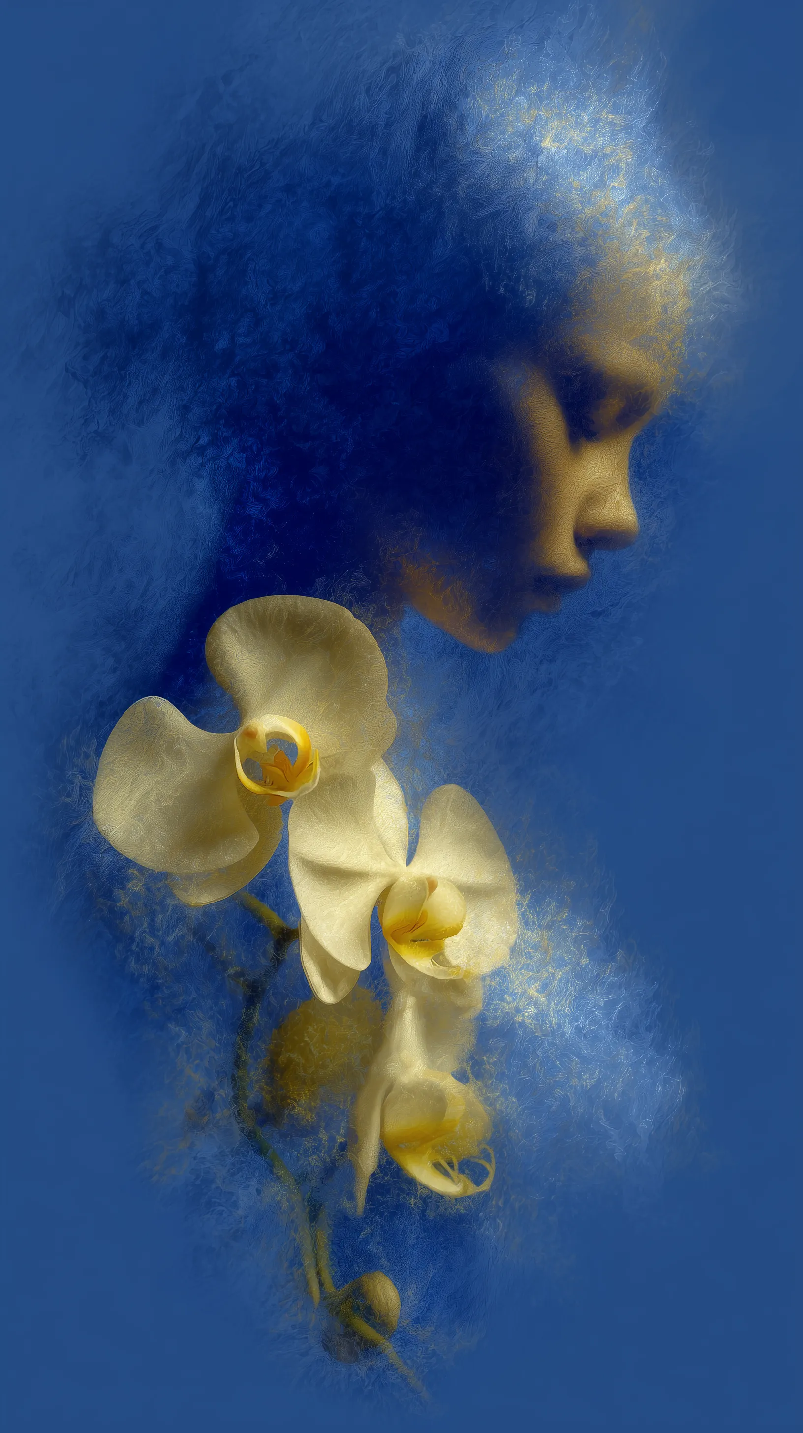 Dreamlike Portrait with White Orchids