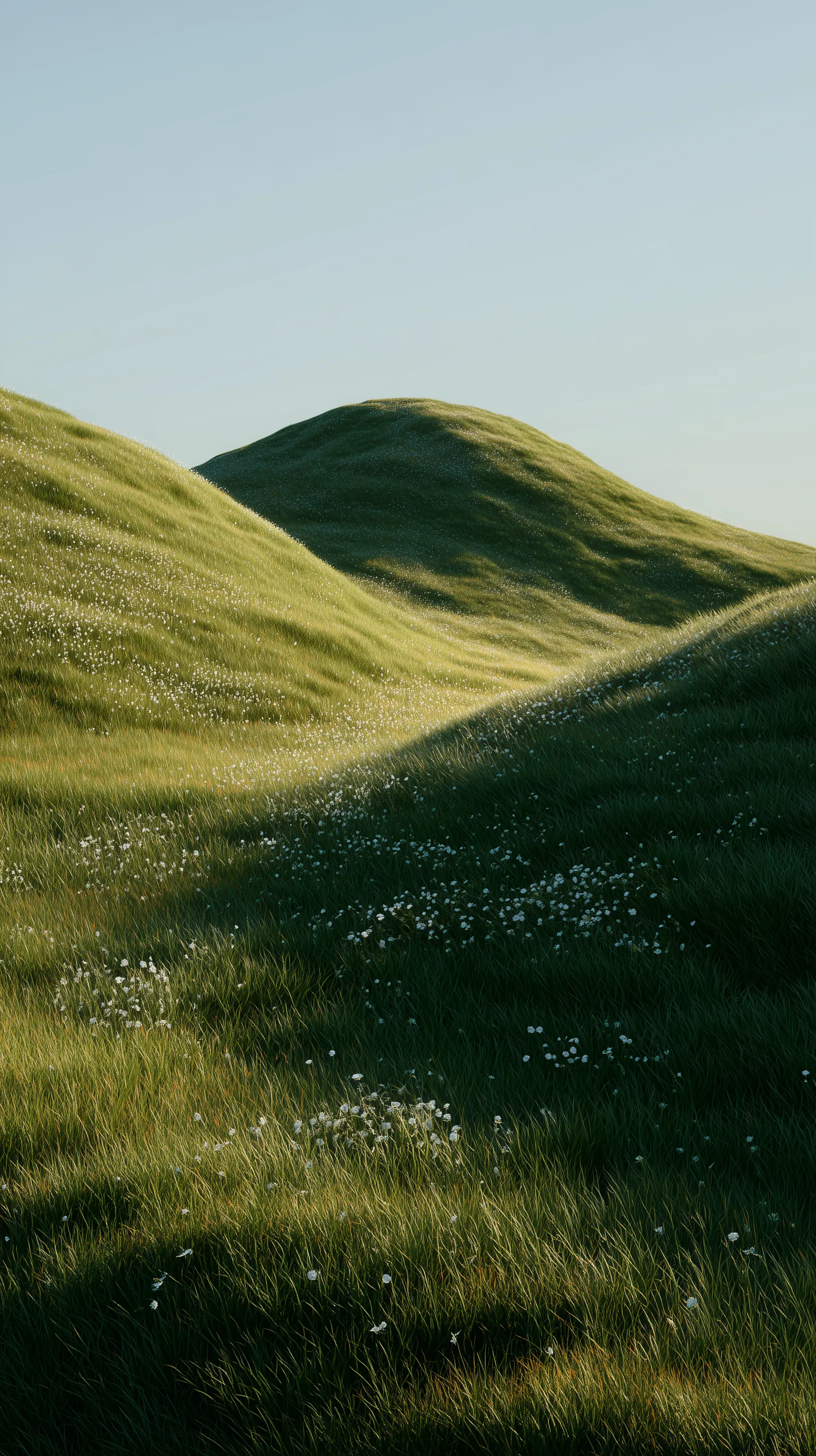 Rolling Green Hills with Tiny White Flowers