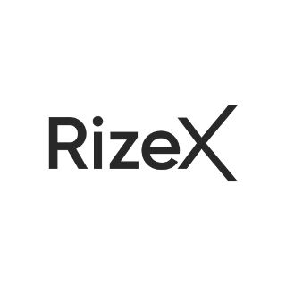 RizeX Wordmark Logo