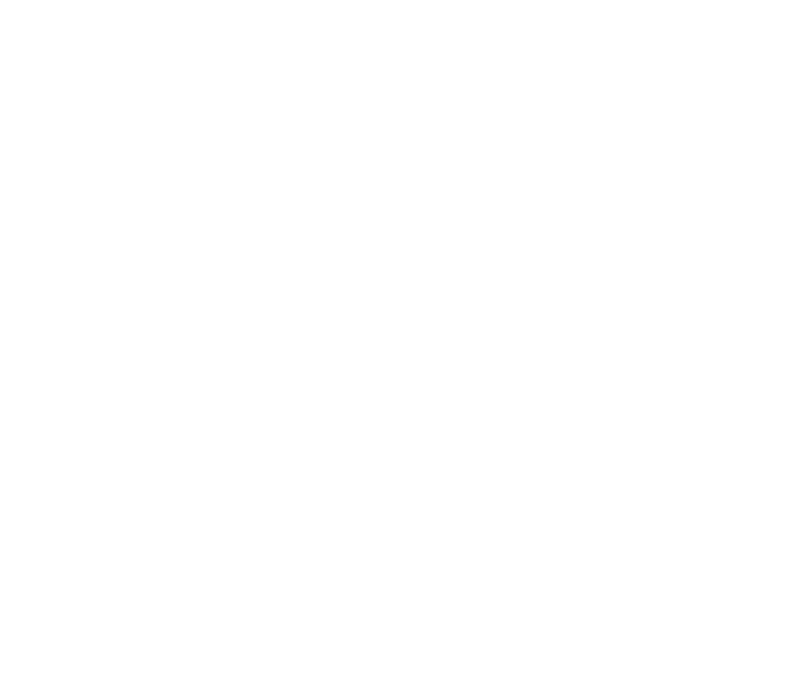 Envisiona client logo
