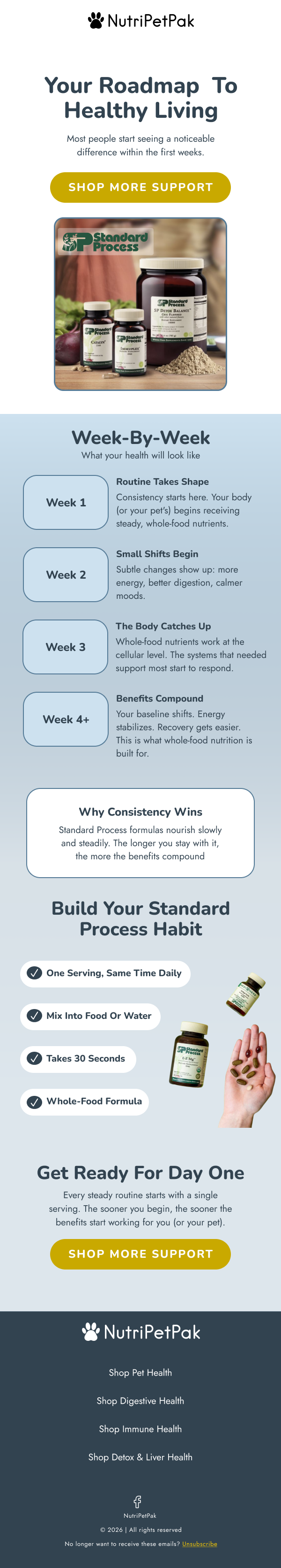 Healthy Living Roadmap Infographic