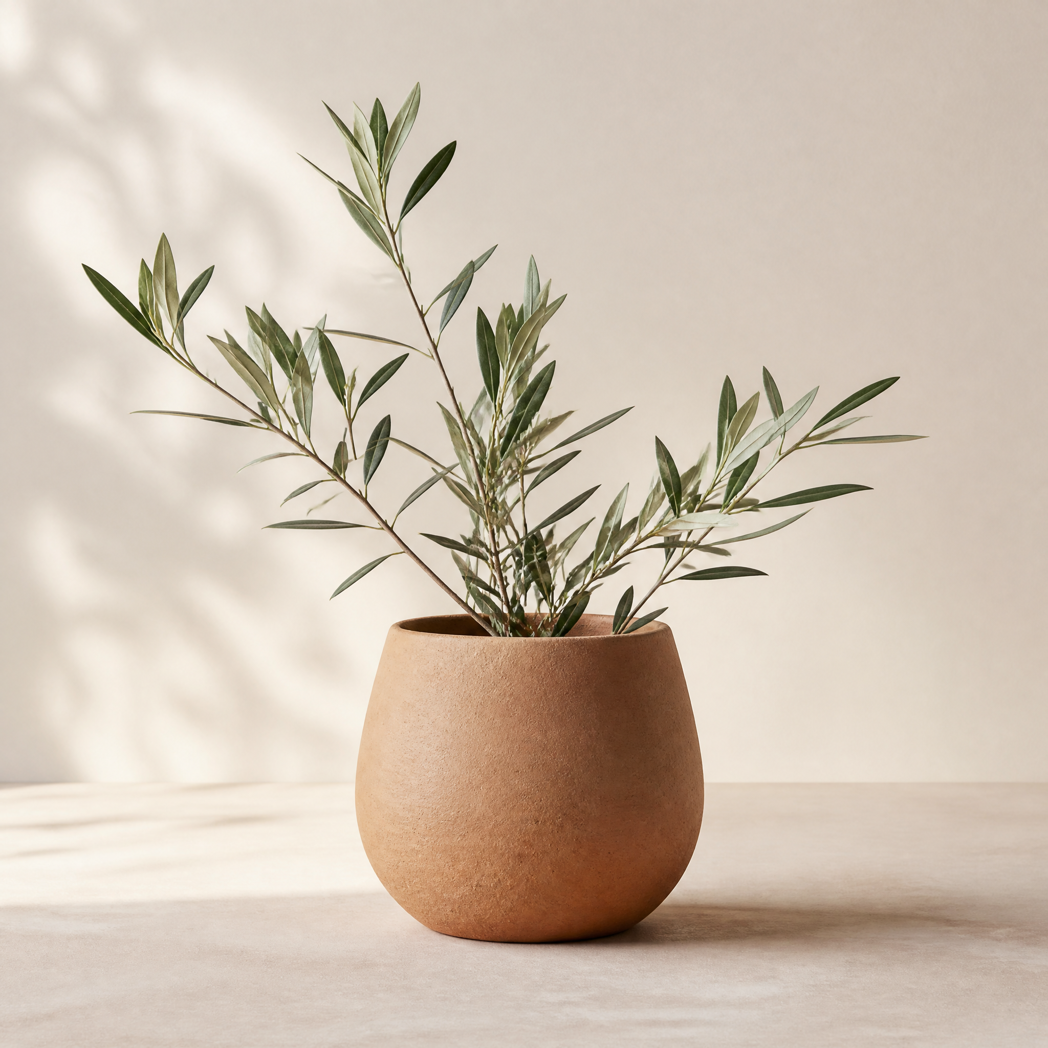 Minimalist clay pot with plant