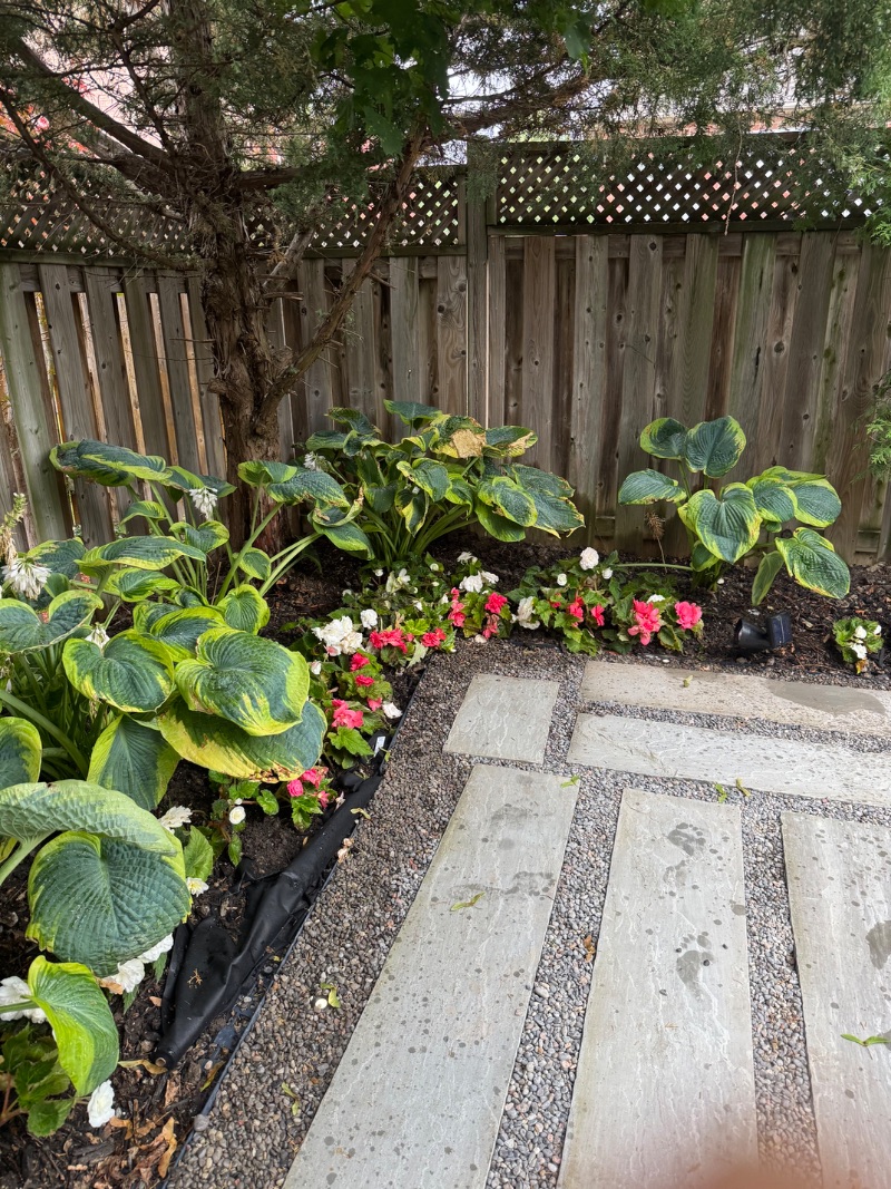 Front walk borders