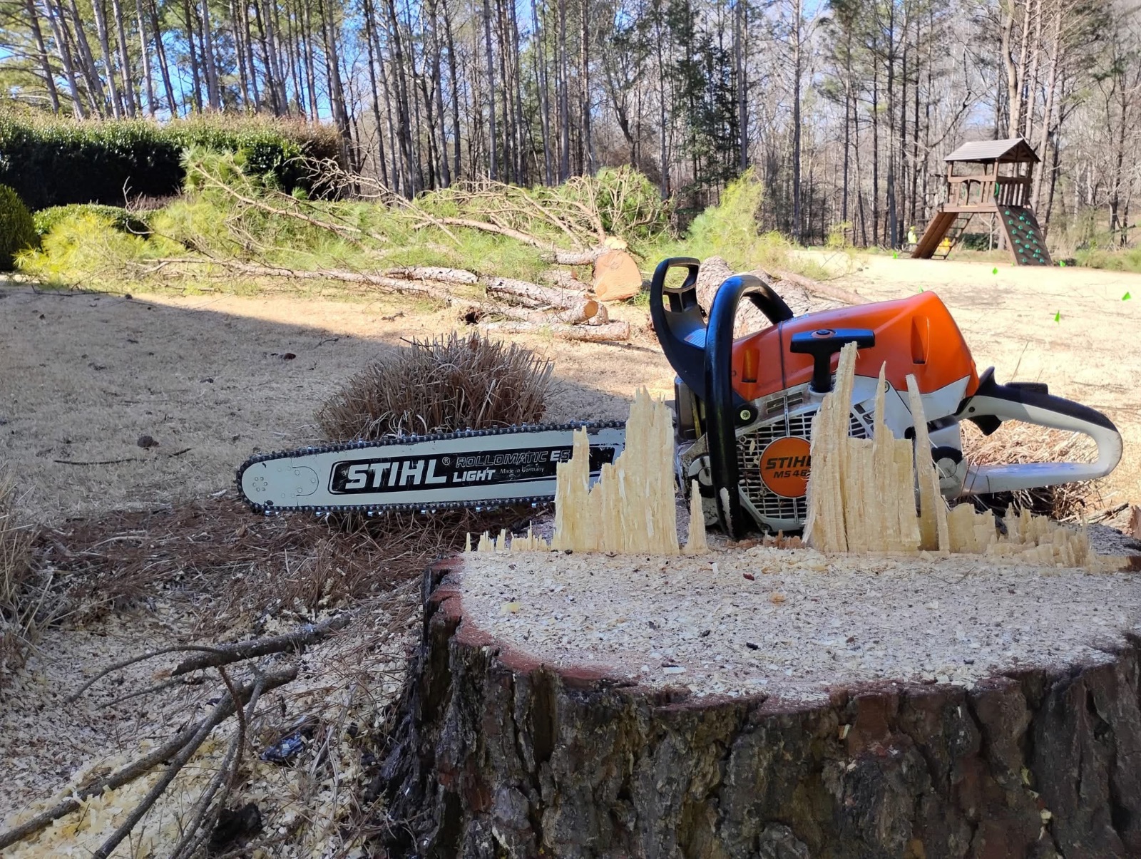 McCarthy Tree Service LLC crew working safely on a local residential project in Lee County