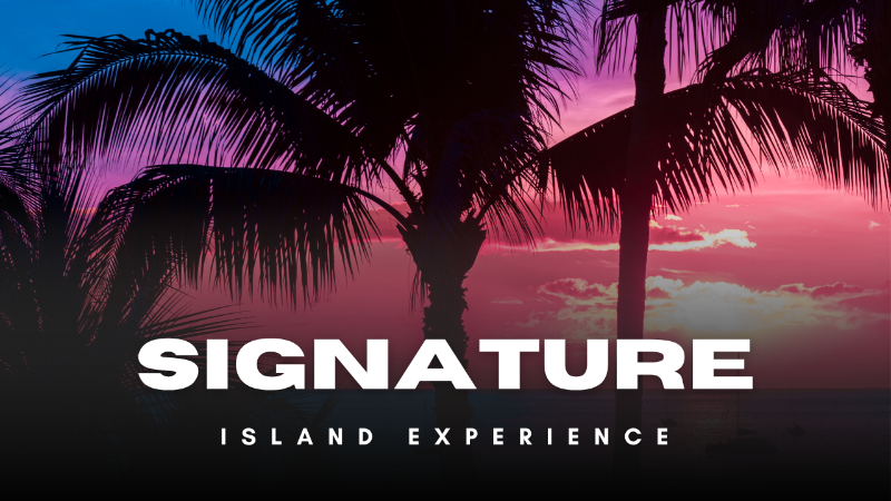 Signature Island Experience Sunset Background