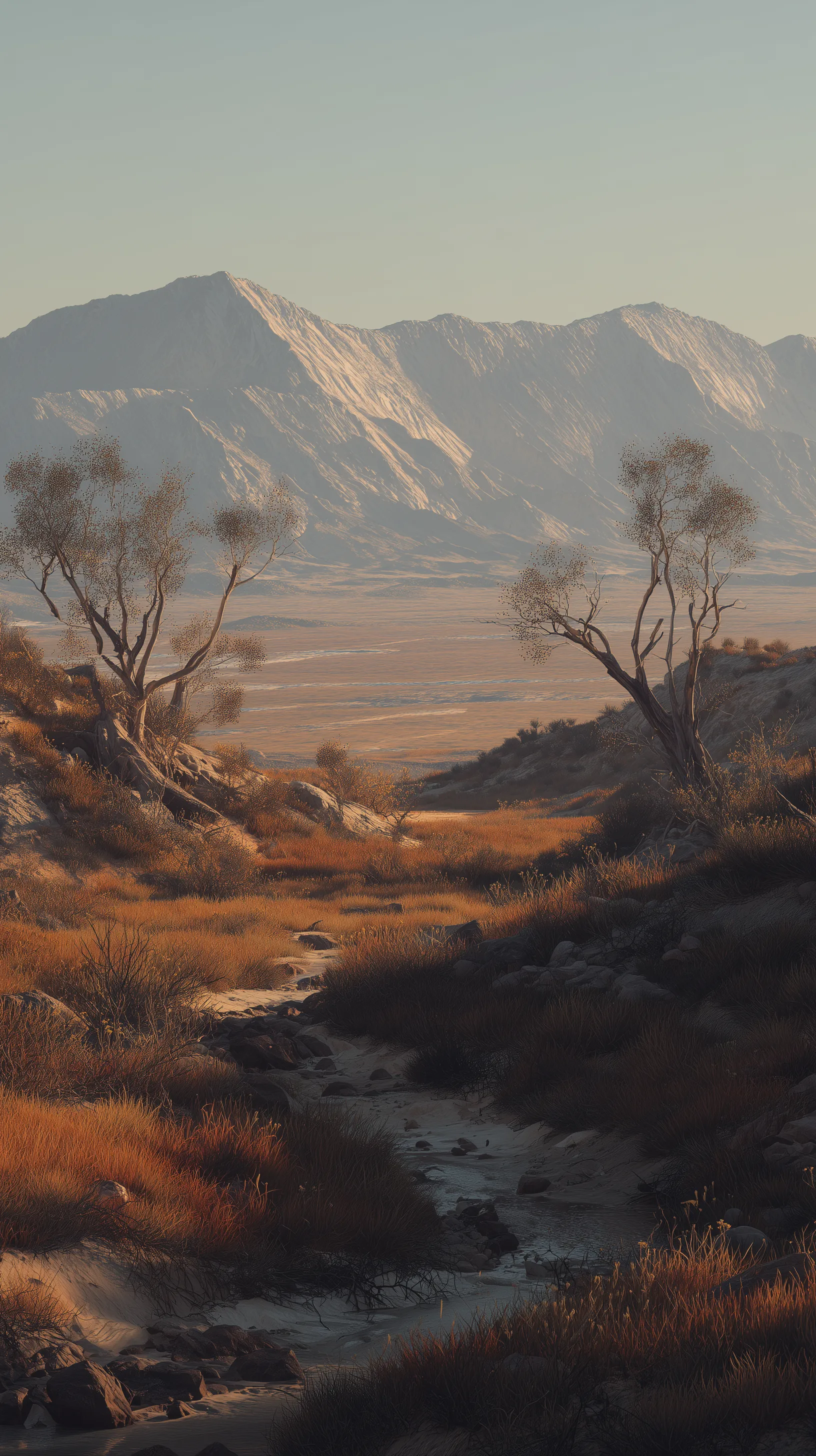 Arid Desert Canyon with Snowy Peaks