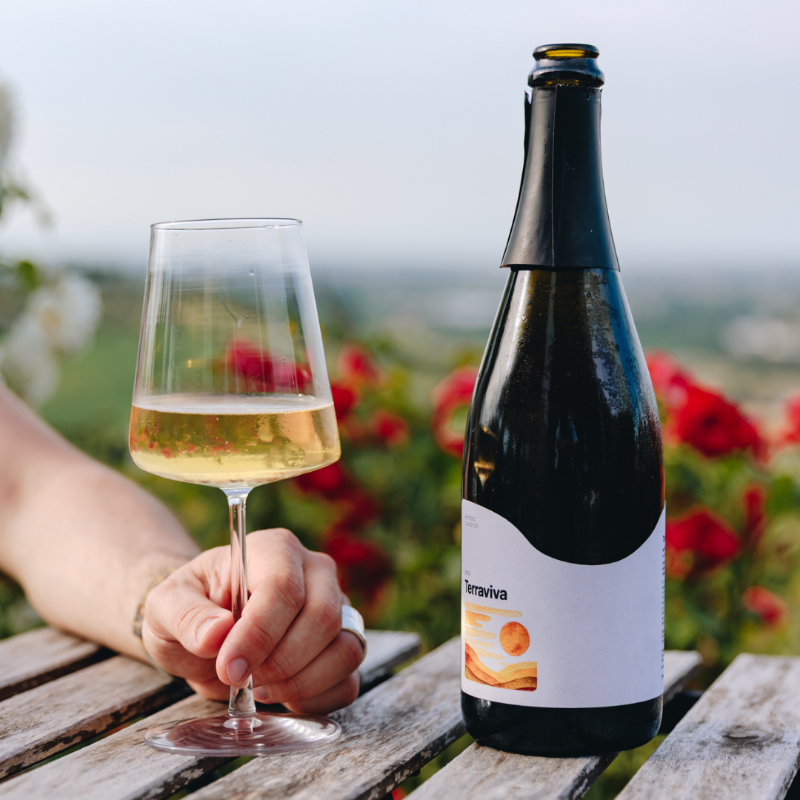 White Wine Bottle and Glass in Vineyard Setting
