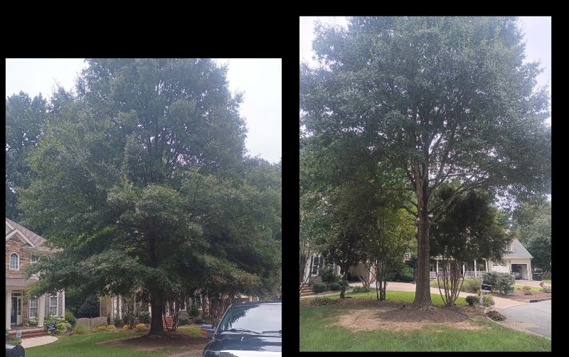 Wood chipper and storm debris cleanup on site in Sanford NC
