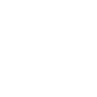 Shopify Partner