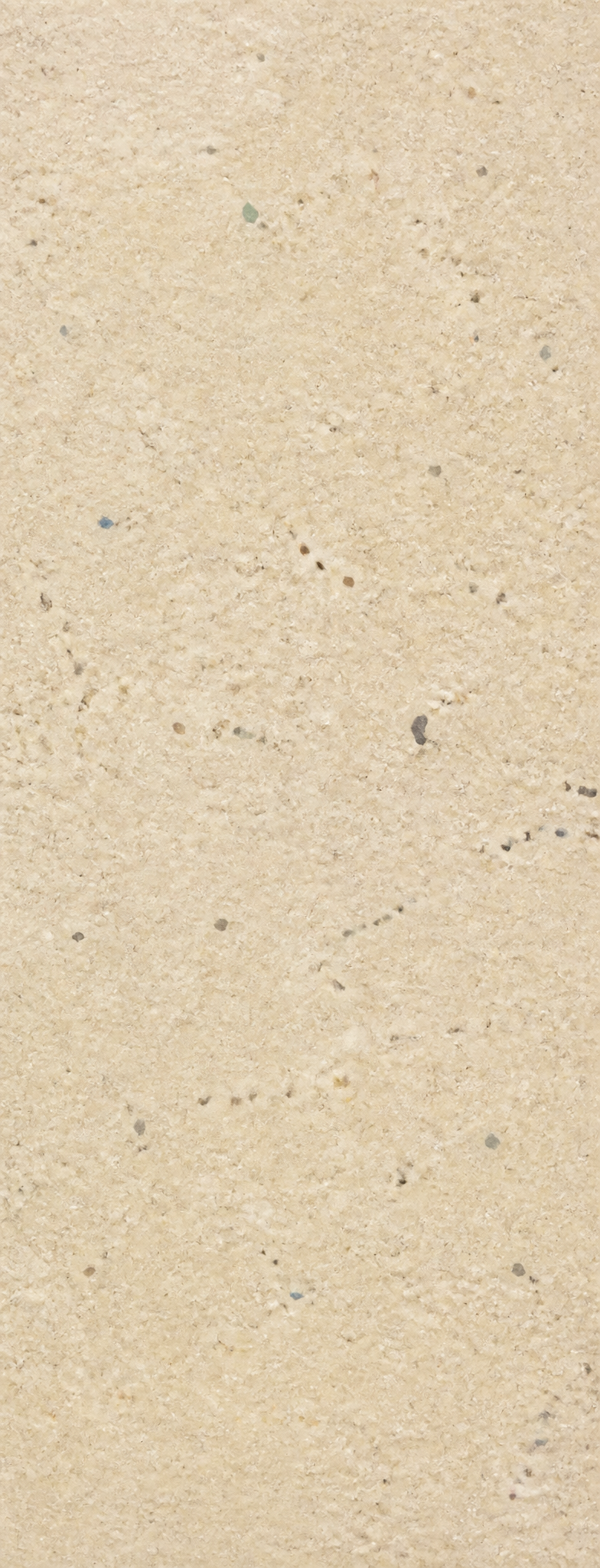 Beige Speckled Stone Surface Texture