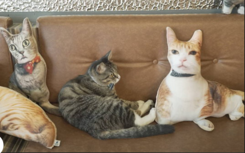 Alexandra with their pet