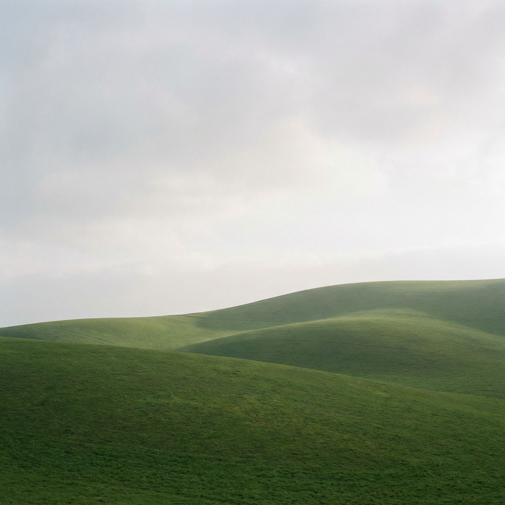 Soft Green Hills Under Overcast Sky