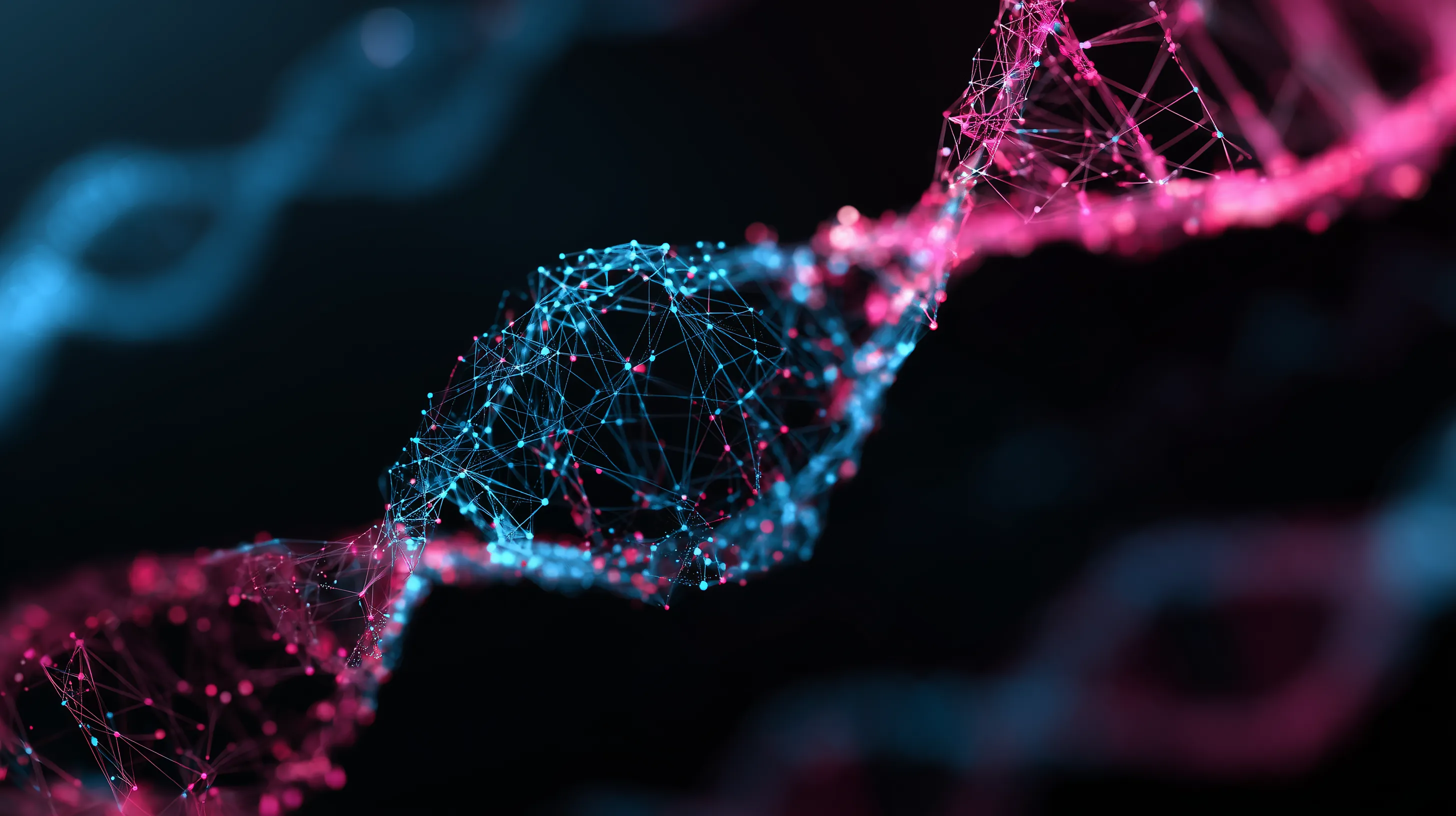 Abstract digital DNA double helix network