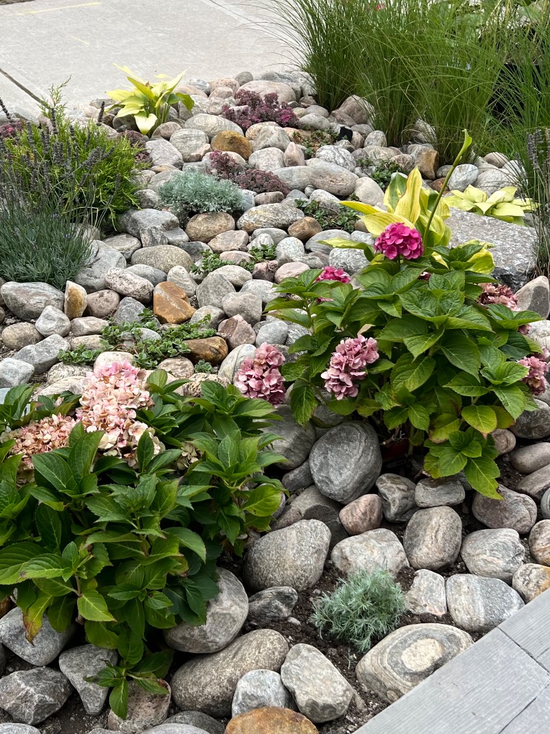 Emerald lawn restoration