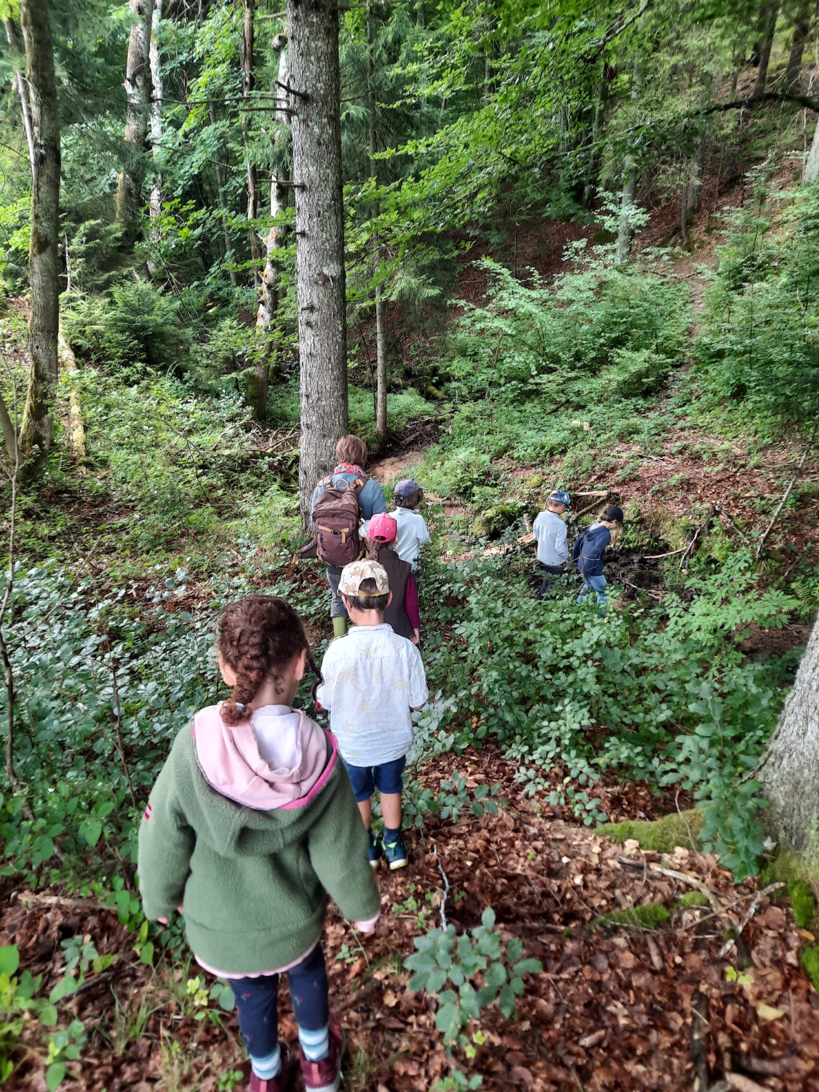 Nature Walk