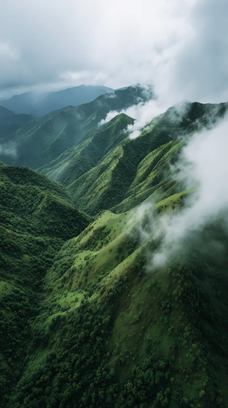 Mist-covered emerald mountain ridges