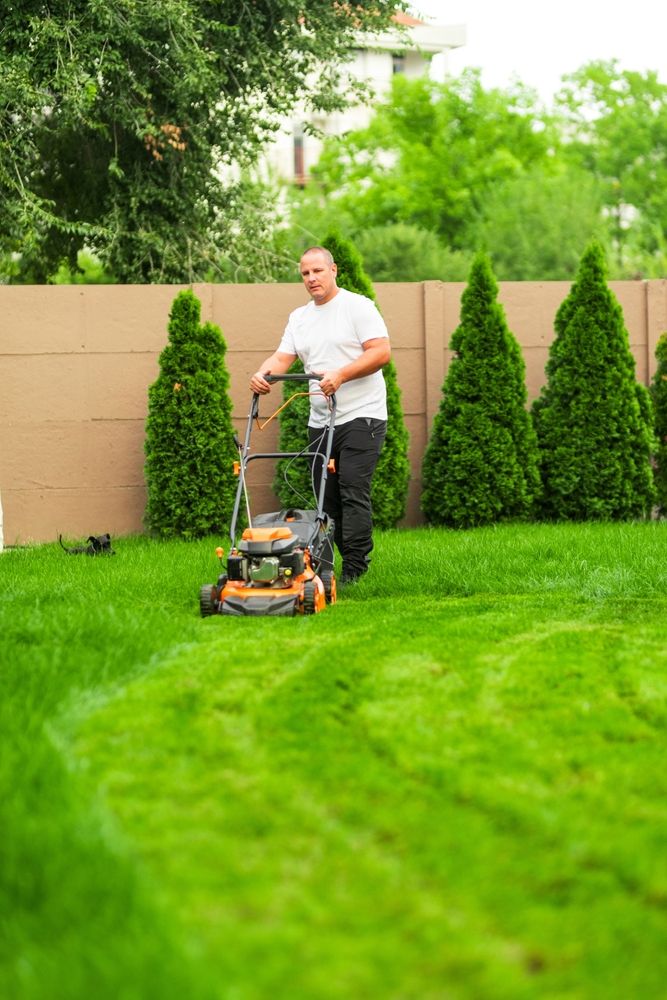 Residential Lawn