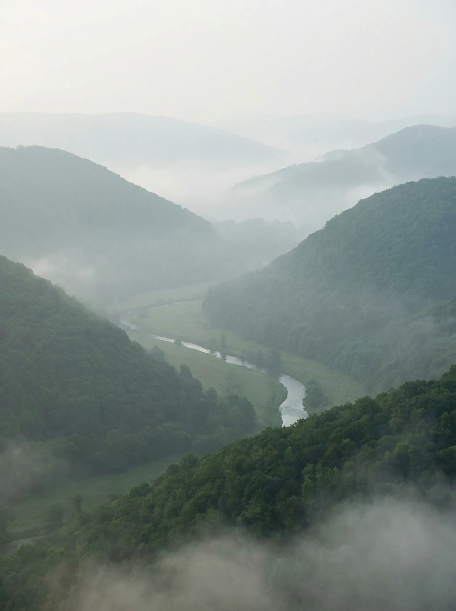 Misty River Winding Through Green Mountain Valley