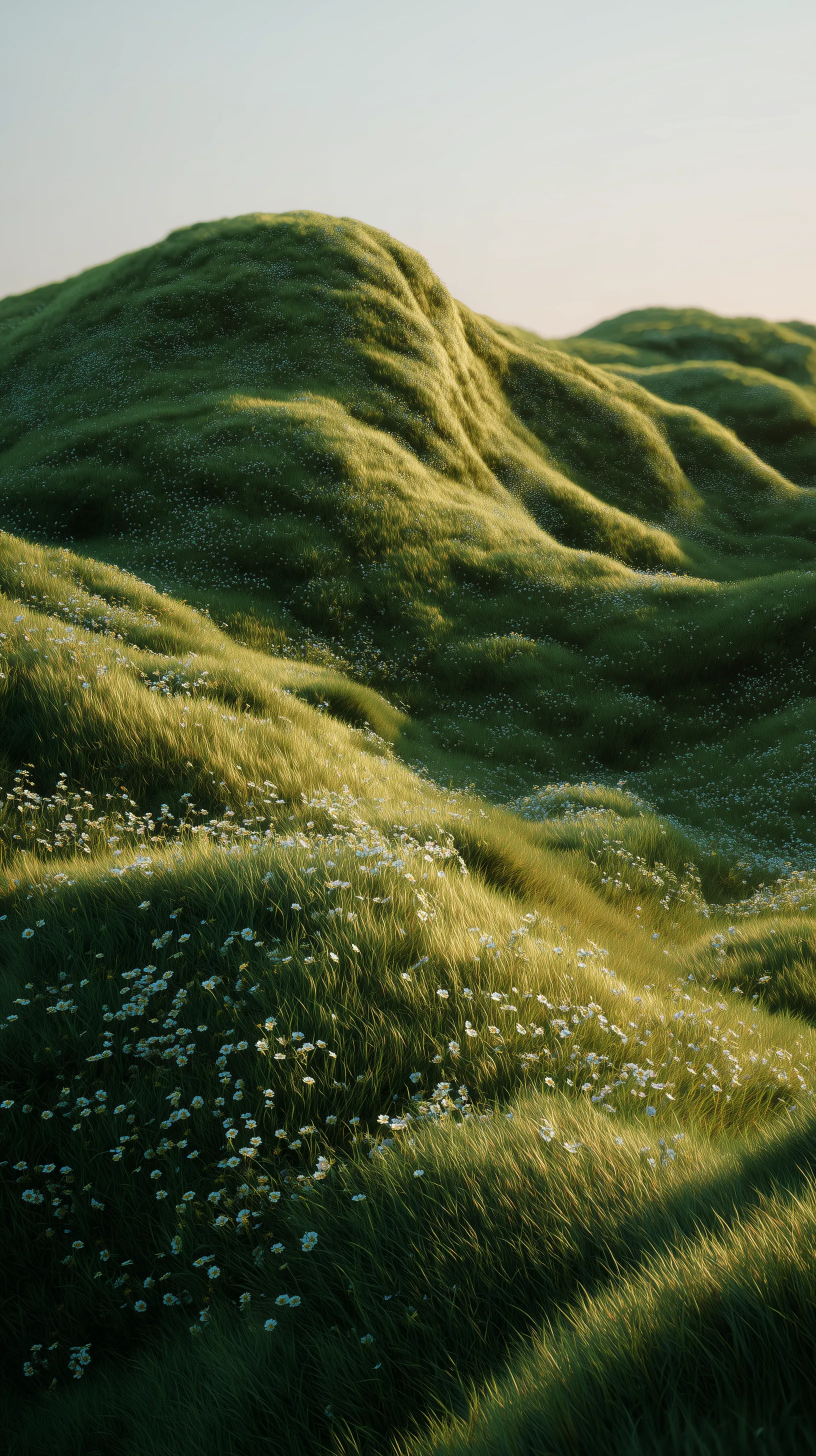 Rolling Green Hills with Wildflowers at Sunset