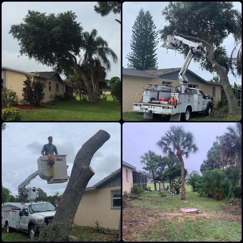 Hazardous tree removal and trimming project in a Broadway NC residential neighborhood