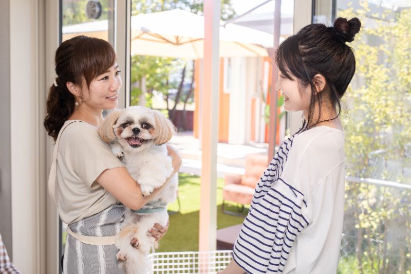 サロンで犬を受け取る女性