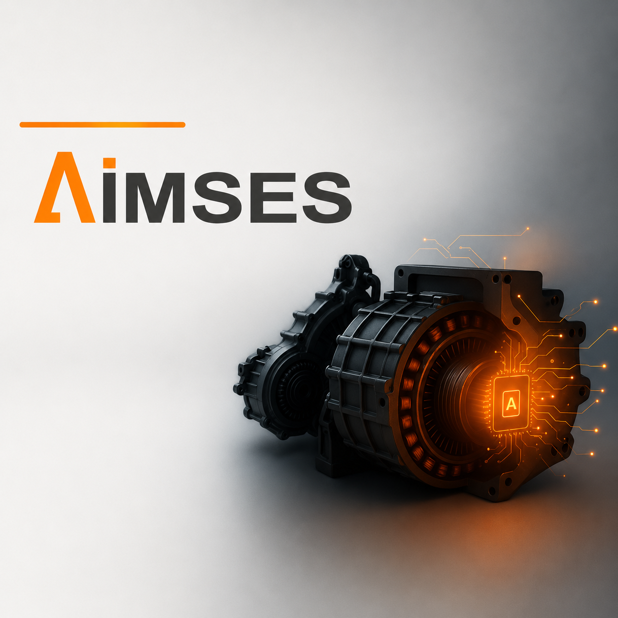 AIMSES