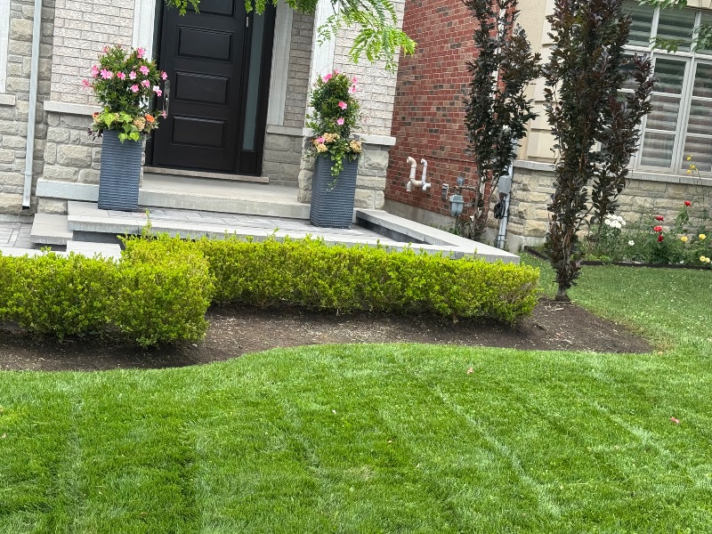 Lawn Care