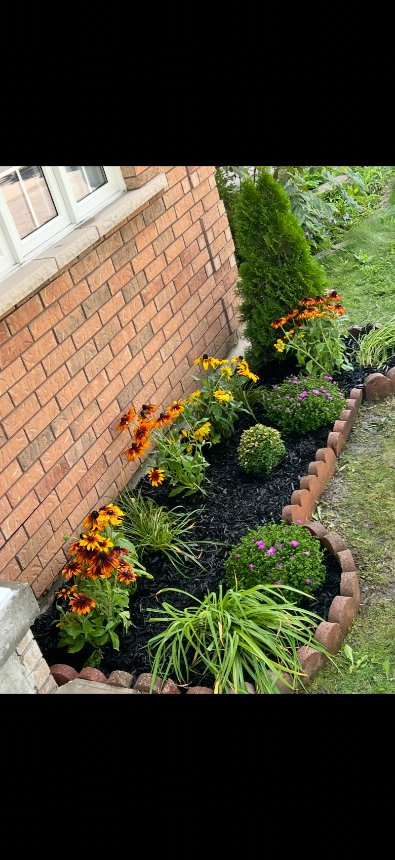 Modern patio & hardscape