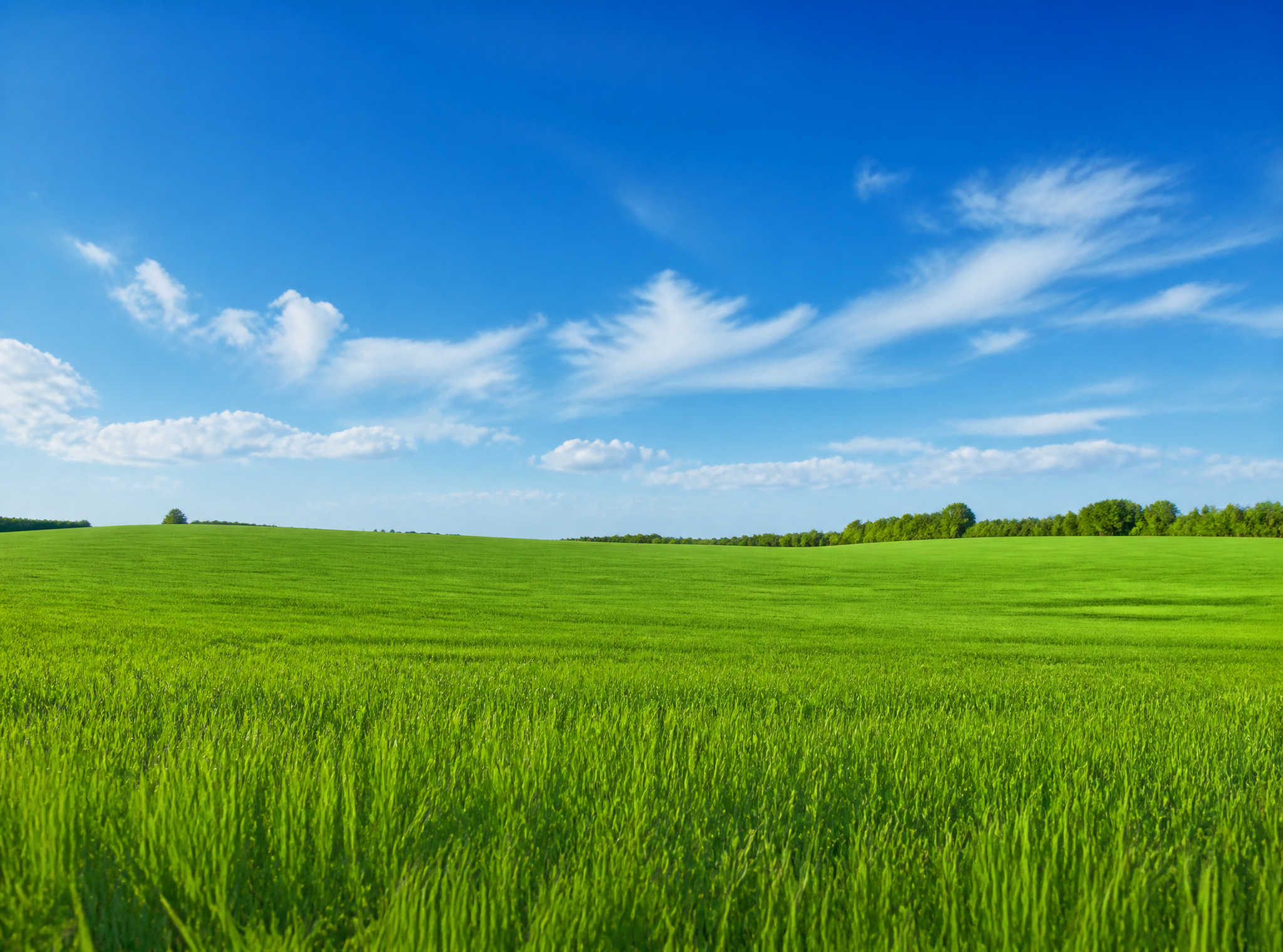 Landscape color field