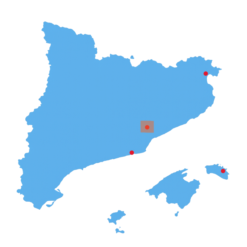 Technical Partnership