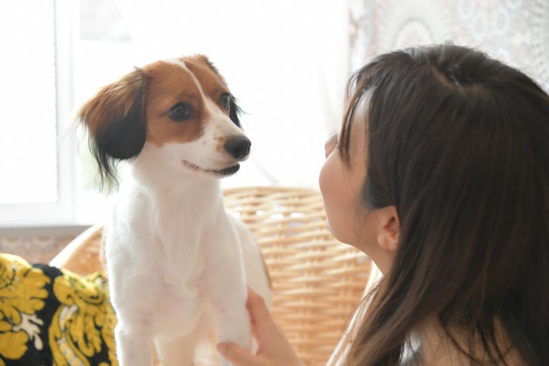 犬を見つめる女性