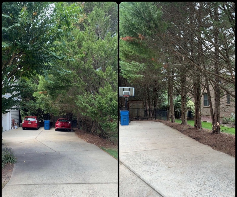 Large fallen tree sectioning and removal after a local Lee County storm