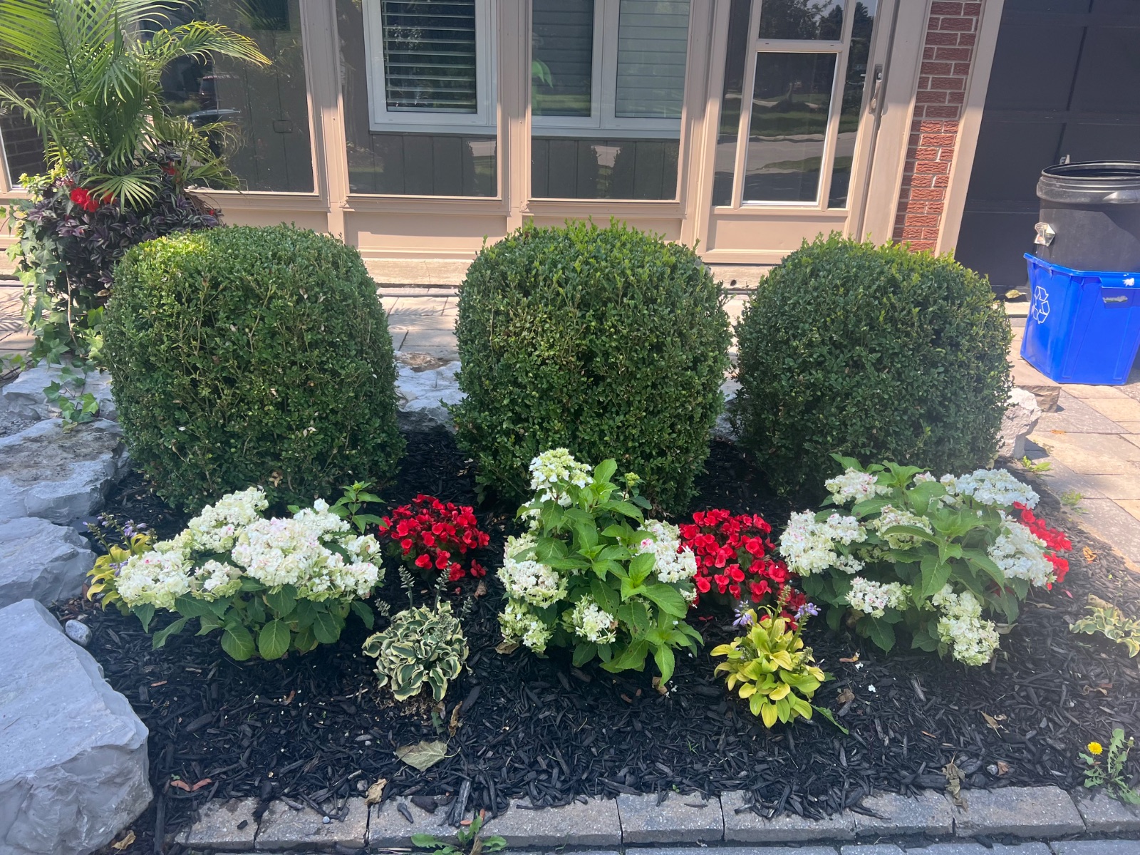 Full property transformation in Richmond Hill