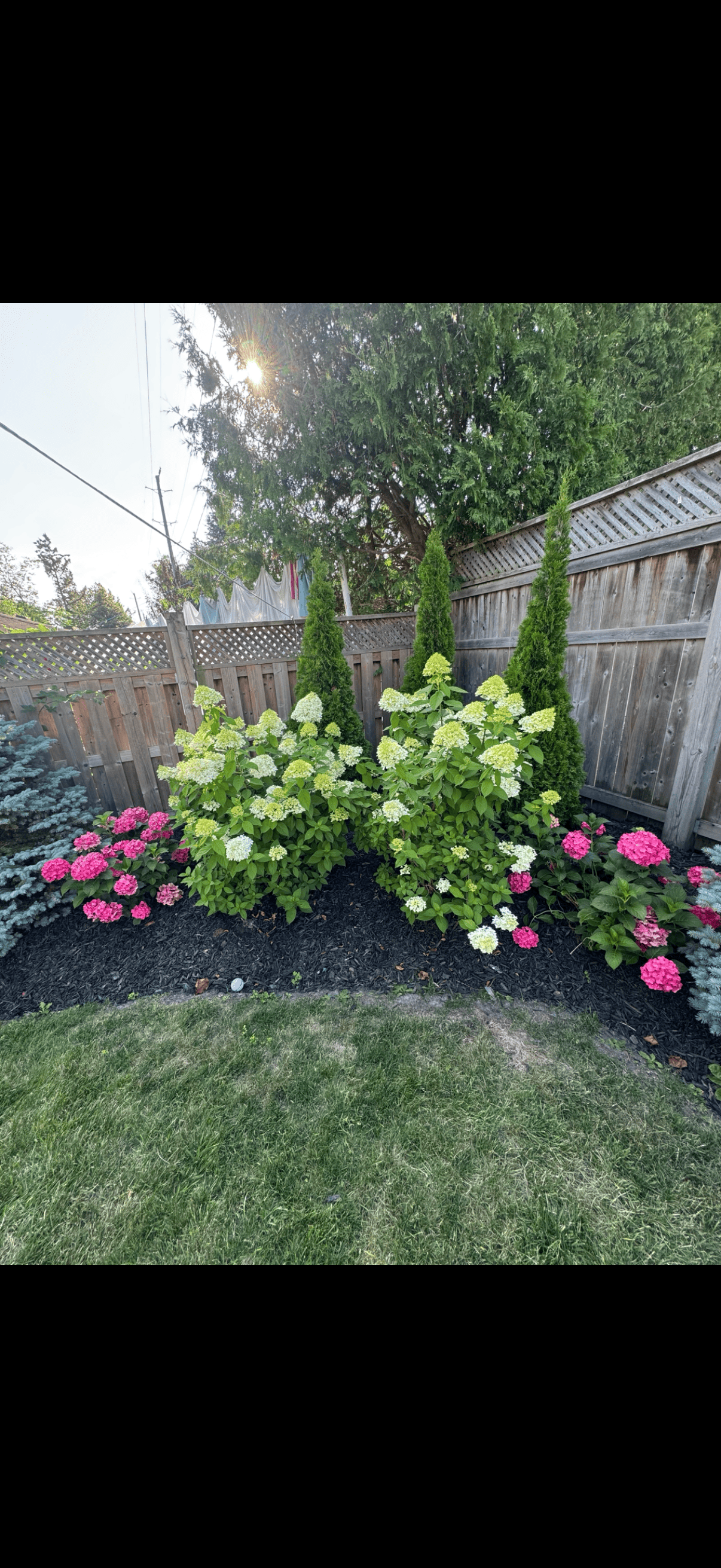 Full property transformation