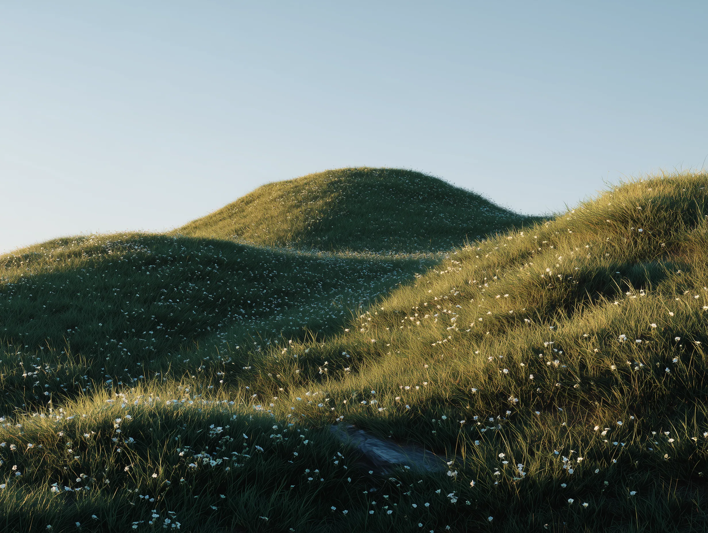 Golden Hour Grassy Hills with Wildflowers