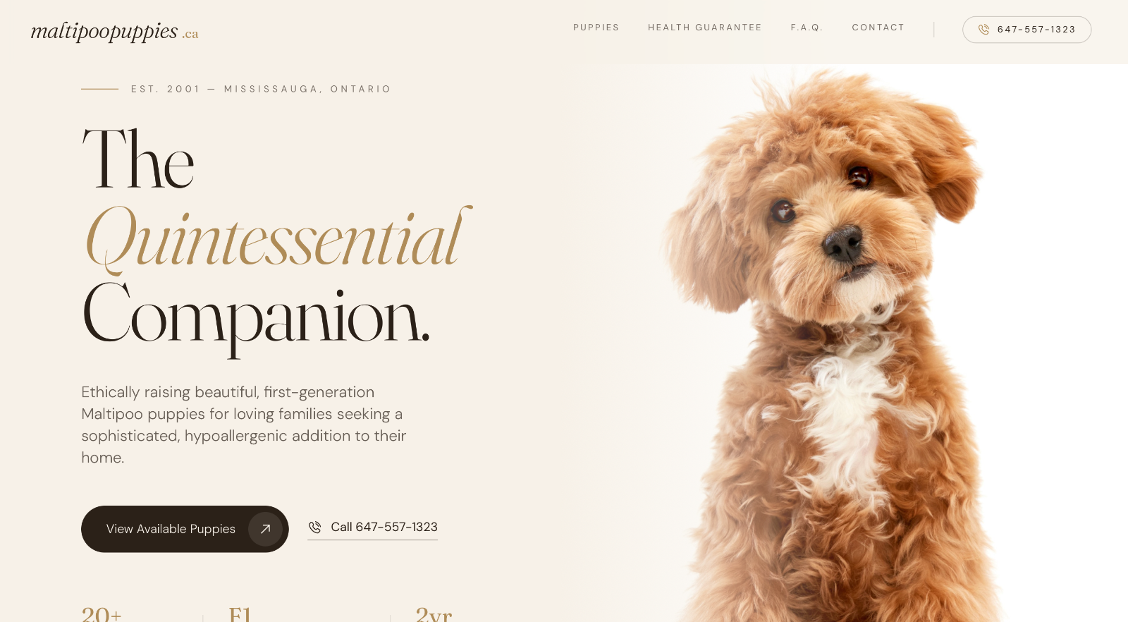 Maltipoopuppies.ca website