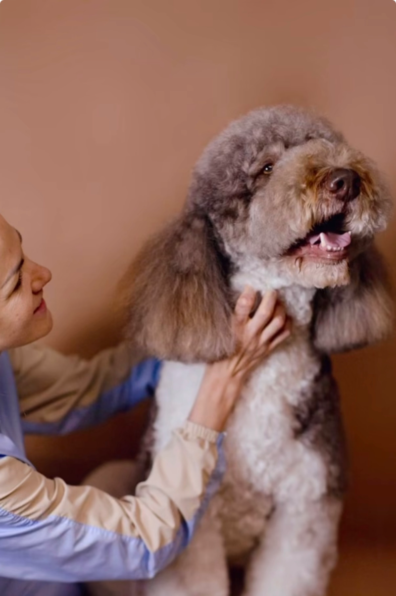 Urban Pet Dental Team