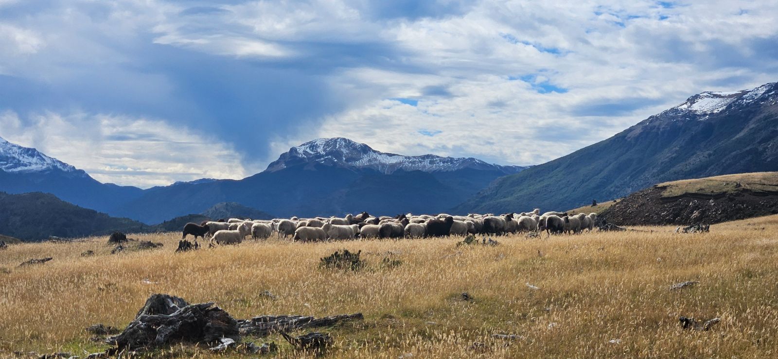 Patagonian steppe along the Carretera Austral