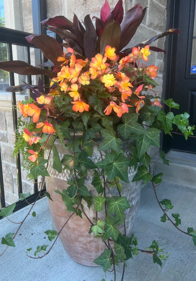 Autumn planter refresh