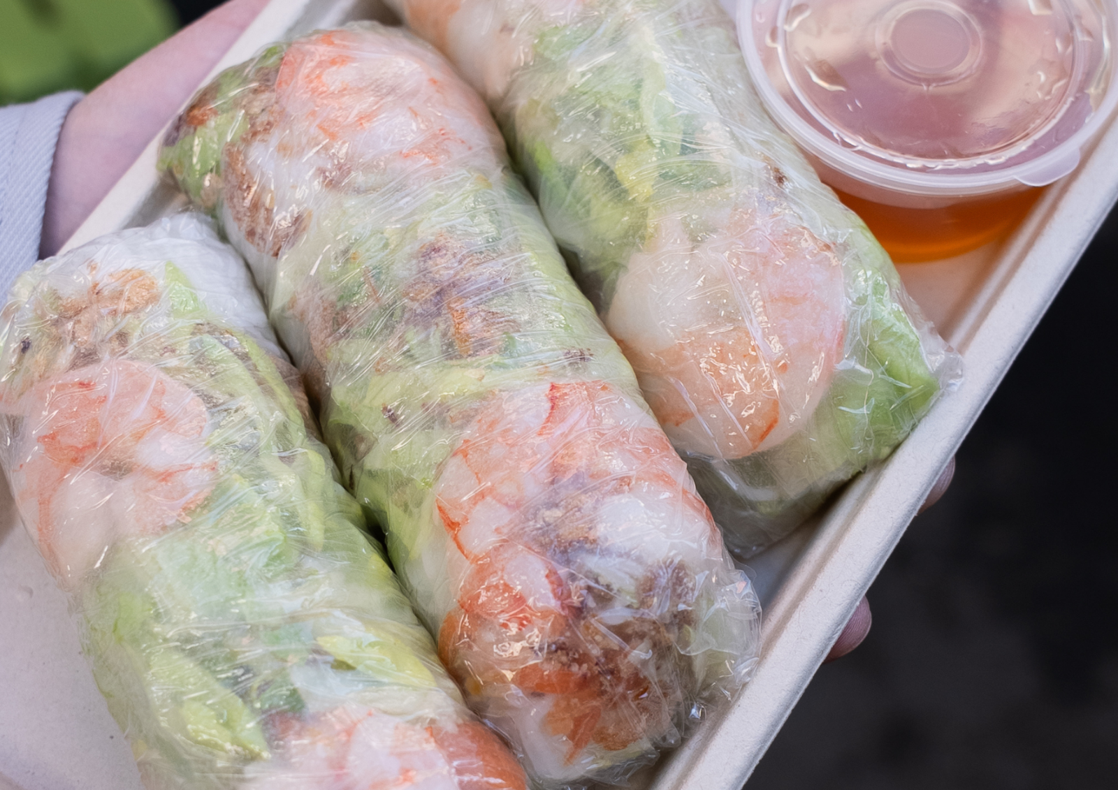 Salad Roll Box