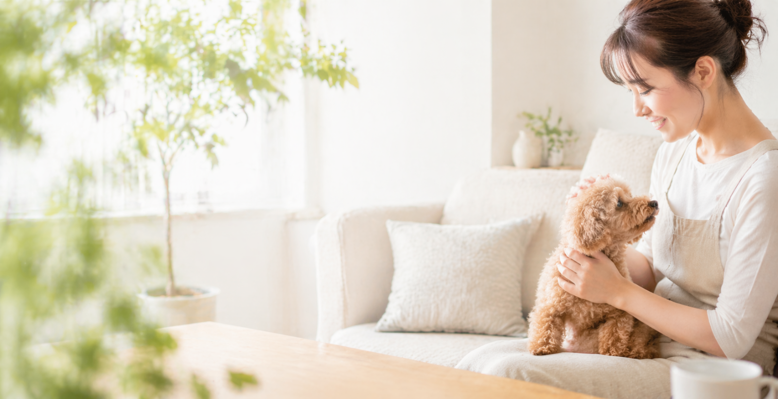 飼い主と過ごす小型犬