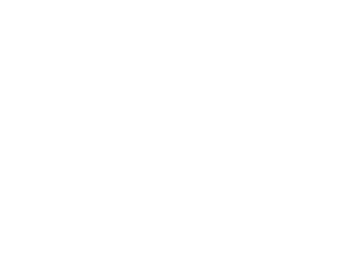 Envisiona client logo