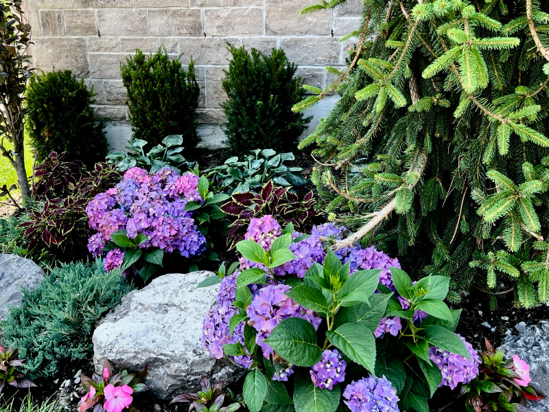Layered garden beds