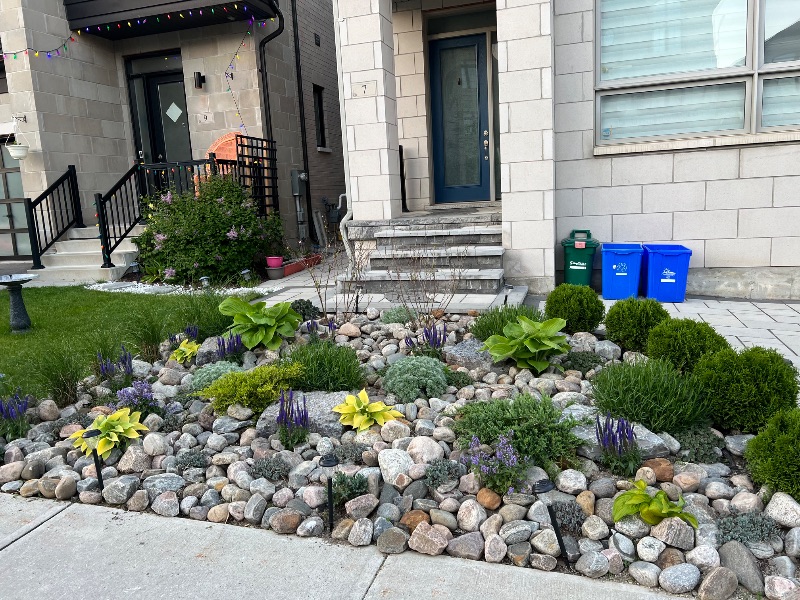 Walkway border planting